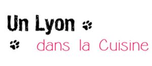 blog-lyon-dans-cuisine