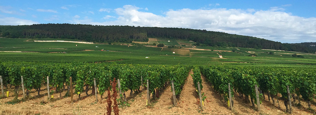 vivre en bourgogne franche comté