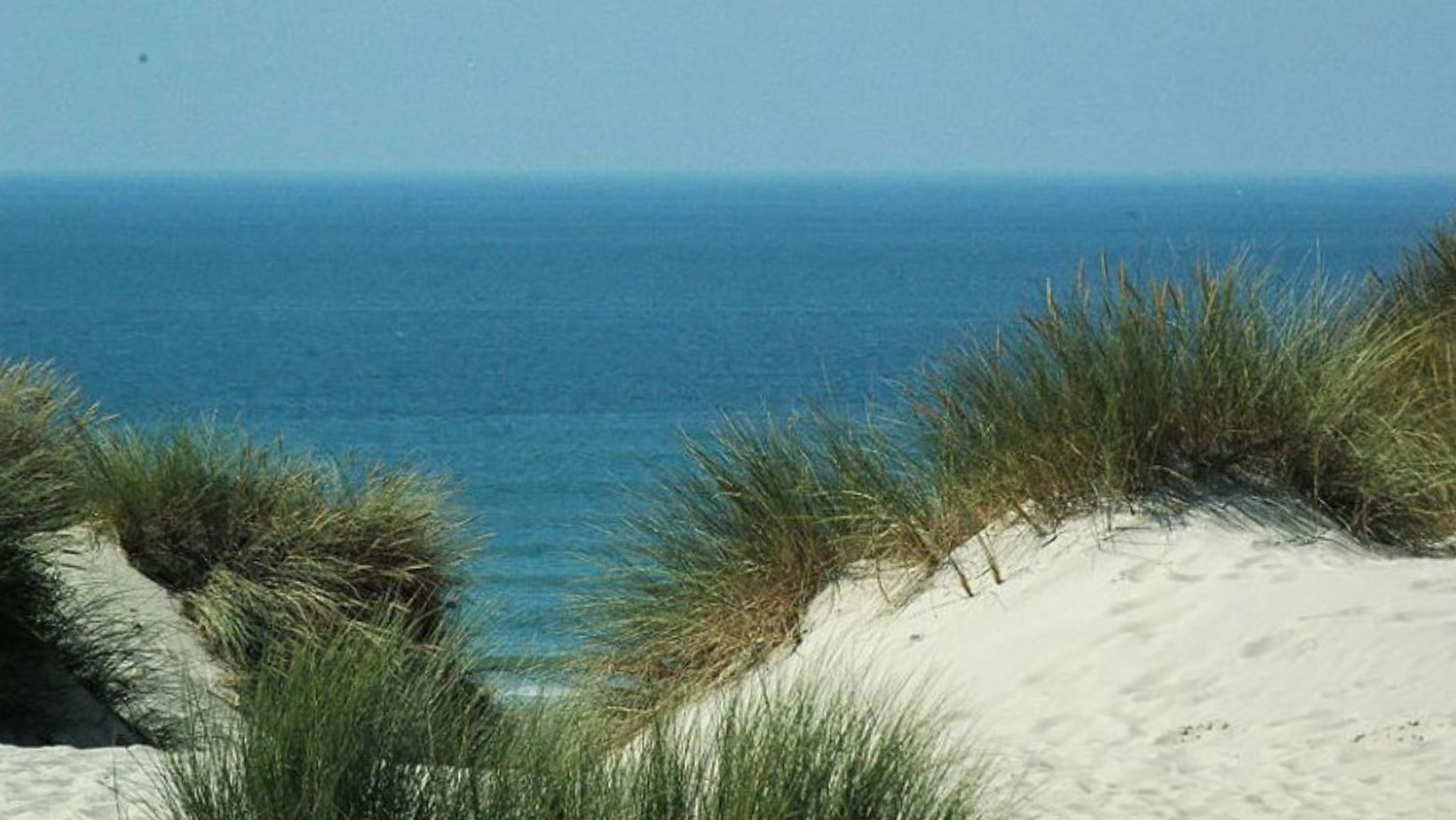 plage-dune-cucq plage-dune-cucq